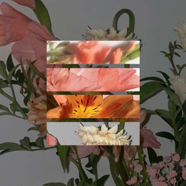 Bouquet Masking Tape