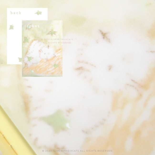 [Postcard] moonlit cat