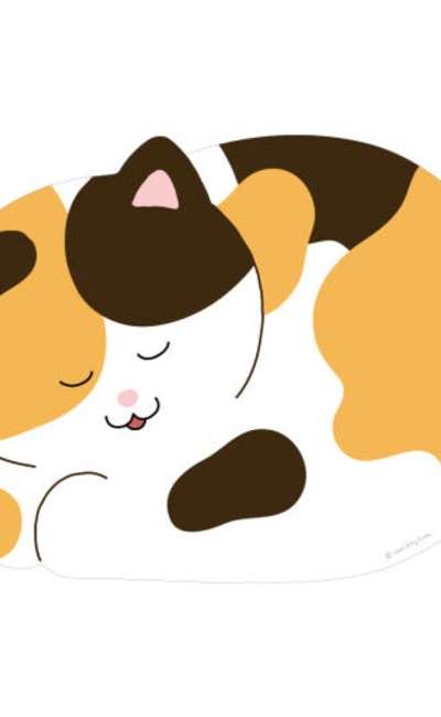 眠っている猫マウスパッド - 宇宙