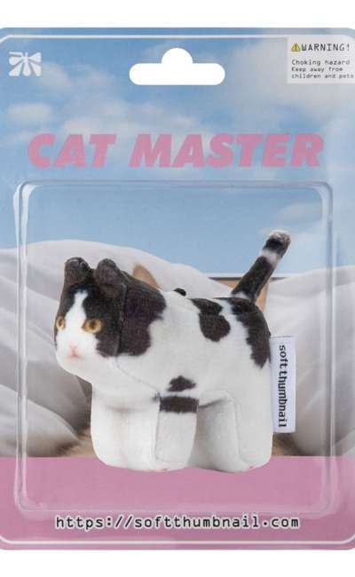 Mumu, Domestic Shorthair