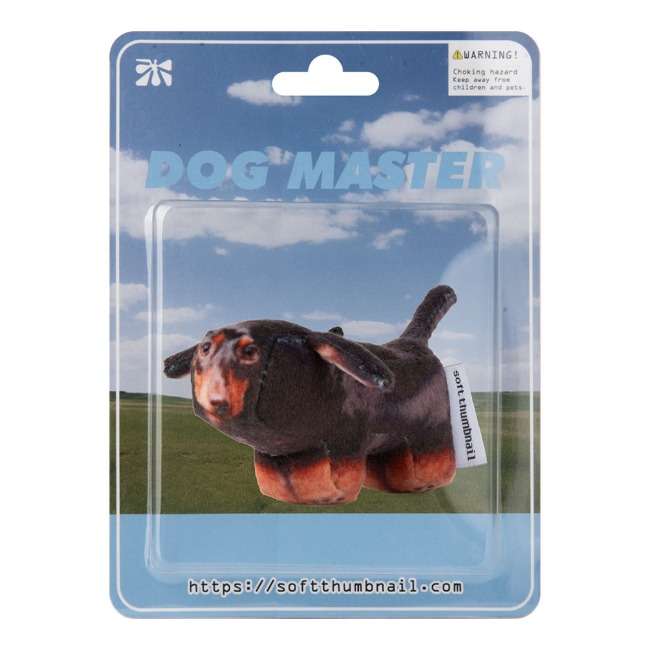 Duke, Dachshund
