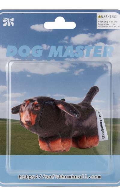Duke, Dachshund