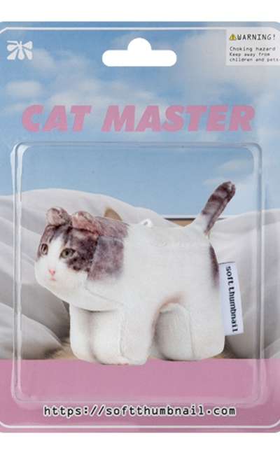 Milk, Domestic Shorthair
