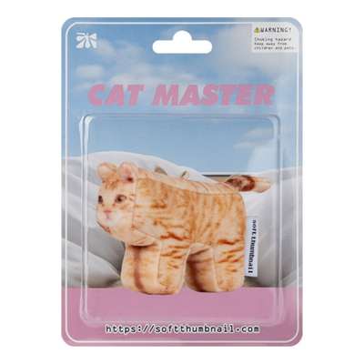 Cheese, Domestic Shorthair