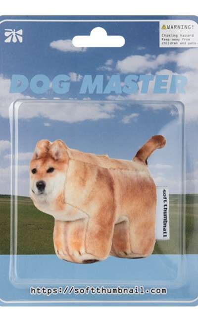 Guma、柴犬