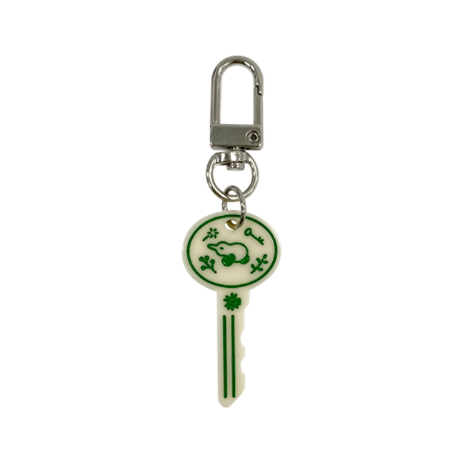 Kiwi Bird Engraved Key Ring