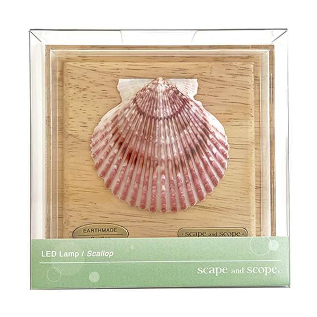 Scallop Lamp / Pink Scallop