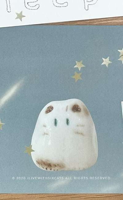✧ ポストカード ✧ 星を集める者ピビ