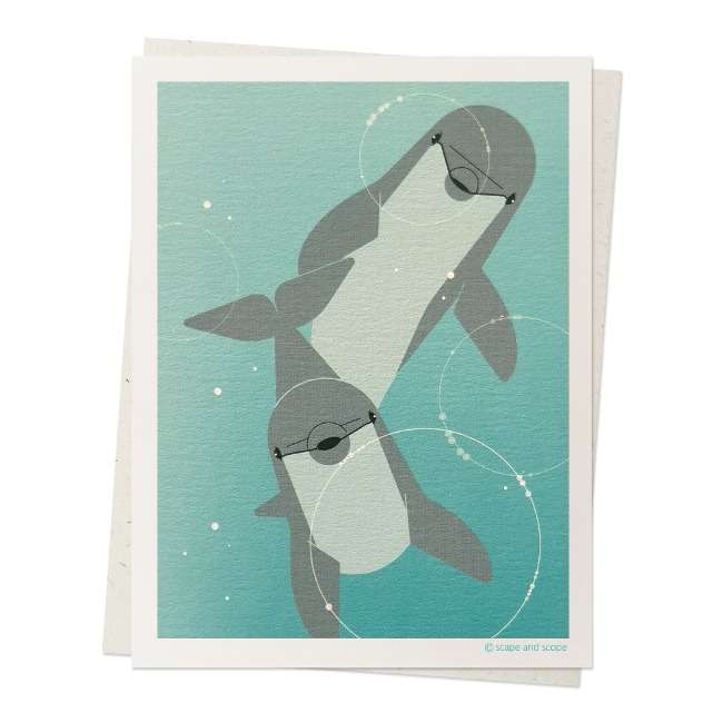 Mini Card / 134 / Bottlenose Dolphin