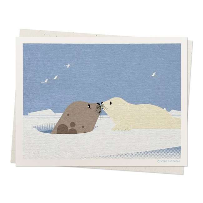 Mini Card / 118 / Harp Seal