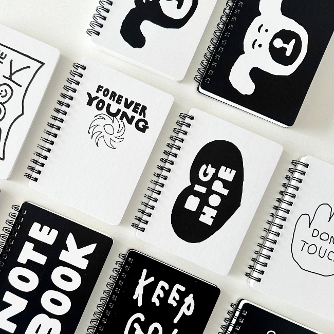 INAP Notebook 10 Types