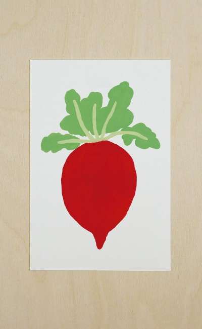 ポストカード - Radish