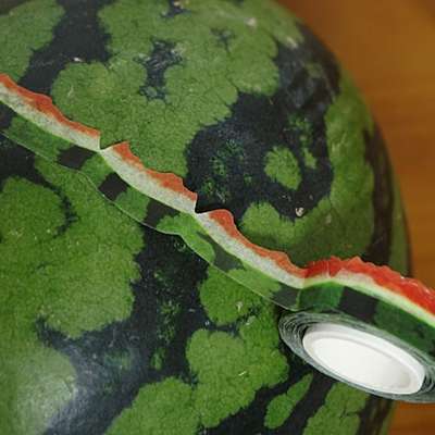 スイカの皮マスキングテープ