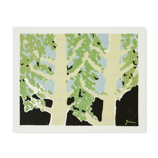 Postcard - Birch Forest