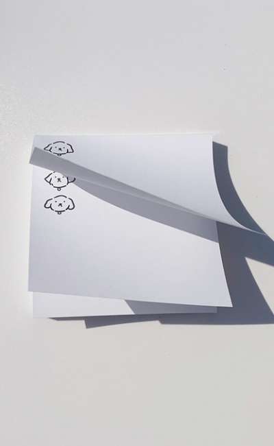 Tteok Memo Pad 2 Types