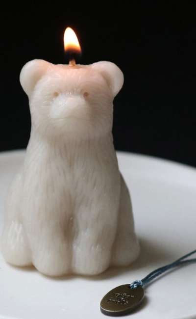 bear candle