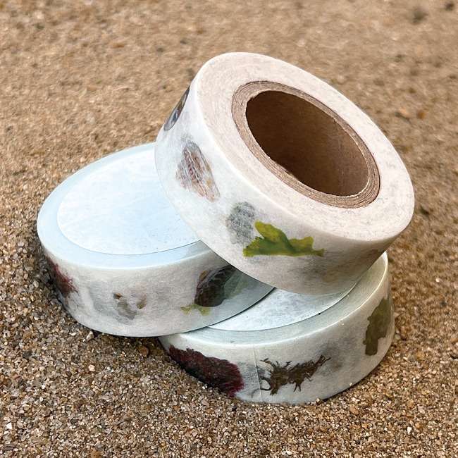 Udo Beach Masking Tape
