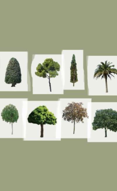 the tree マスキングテープ