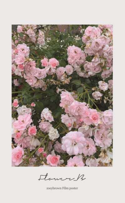FLOWER_B ポスター(A4)