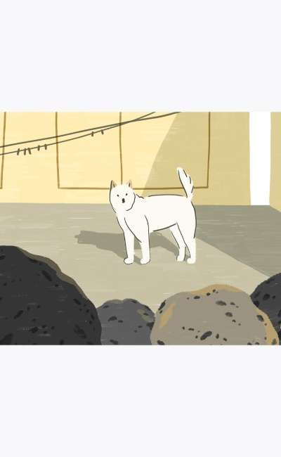ポストカード 18_町の犬