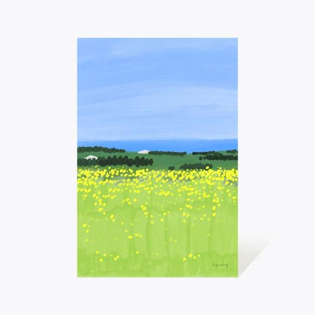Postcard 55_Rapeseed Flower Field
