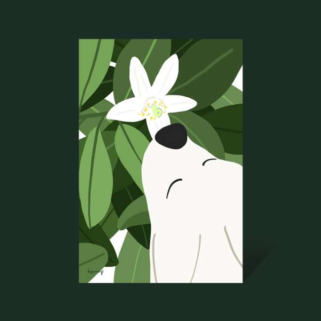 Postcard 15_Citrus Blossom