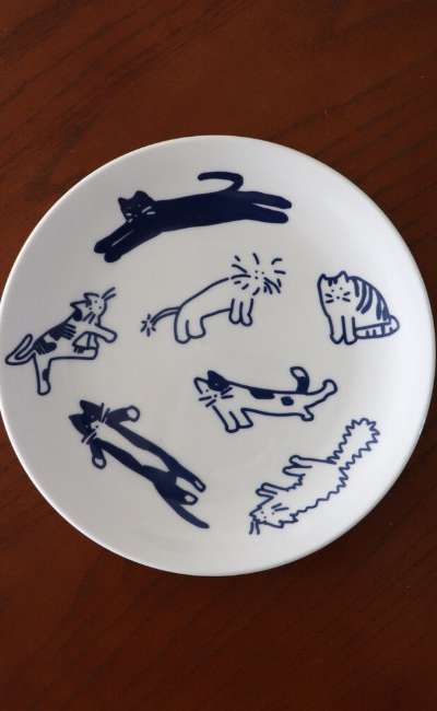 猫の集い