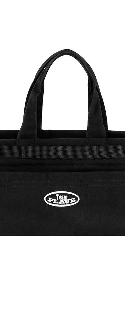 Official Light Stick Bag
