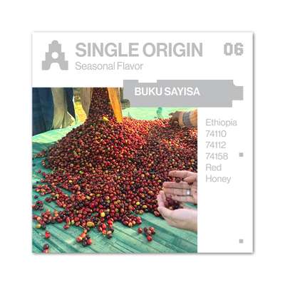 ASTERUM SINGLE ORIGIN 06 COFFEE BEAN 100g