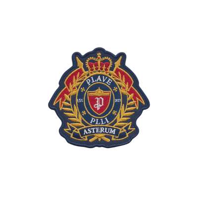 HIDE AND SEEK EMBLEM PIN BADGE