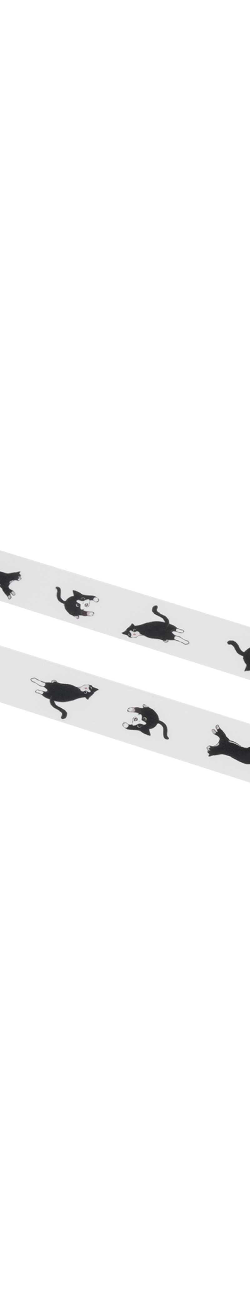 Ryan Masking Tape