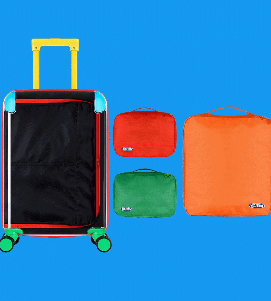 Transparent Carrier & Packing Cube Set