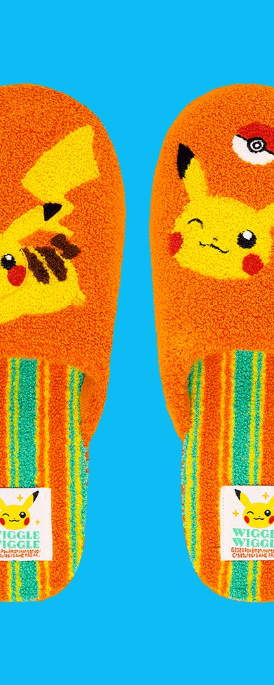 [ポケモン スペシャルデザイン] テリーホームスリッパ