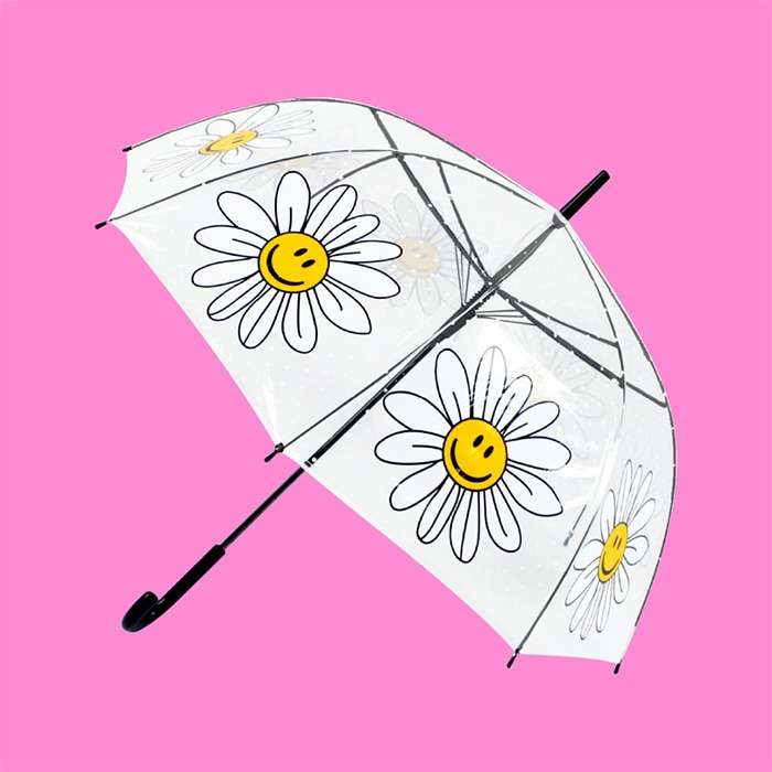 Transparent Umbrella (Dome Shape) - Smile We Love
