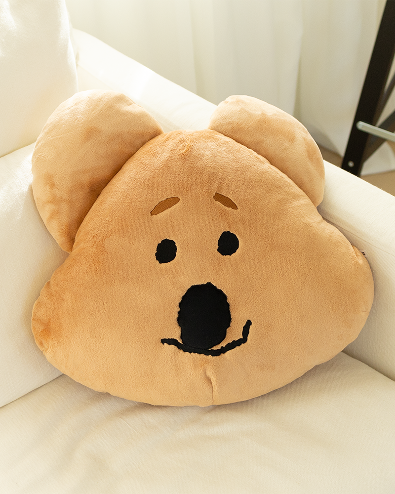 Fluffy FATTY Face Cushion