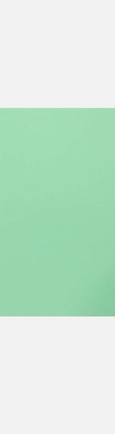 バインダーノートペーパー_グリーン [Loose Leaf Binder Note専用]