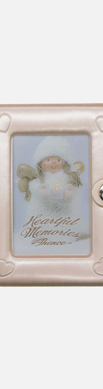 Shimmer Collect Book_シーシェル