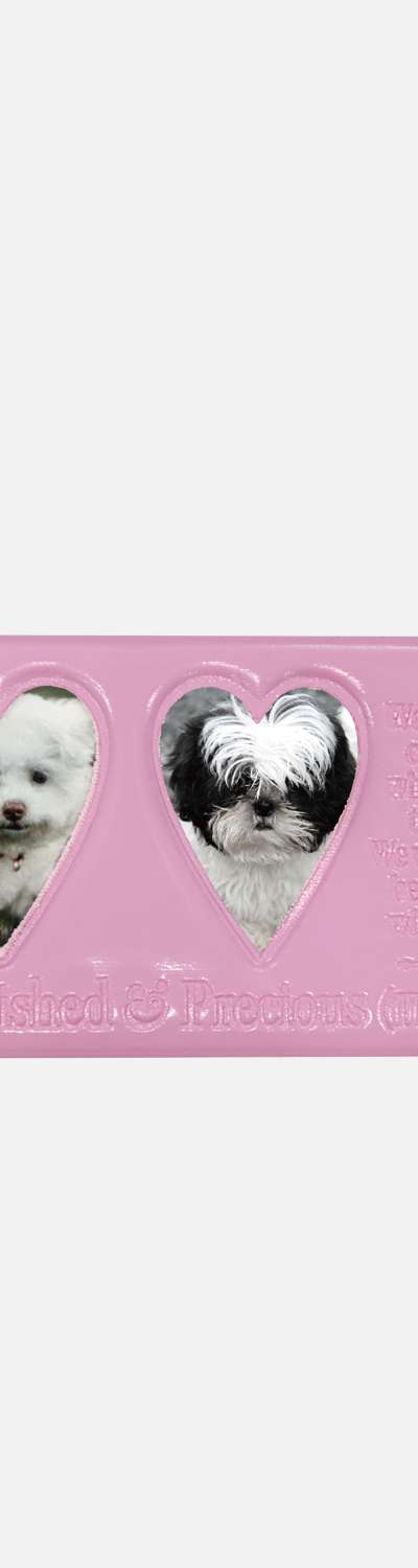 Glossy Mate Photo Holder _ ピンク