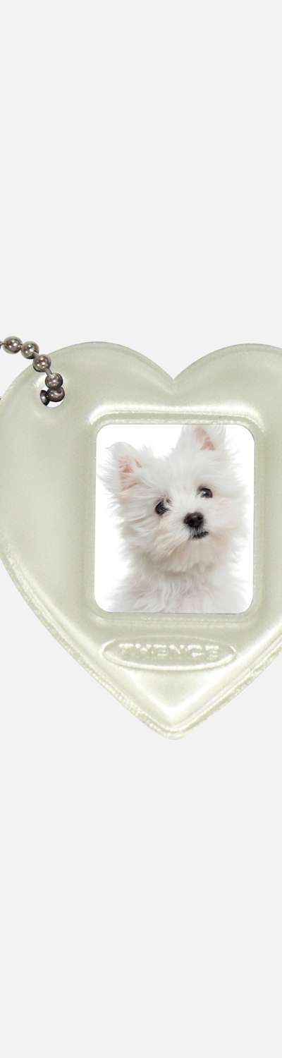 Shimmer Photo Frame Key Holder_Cream Heart