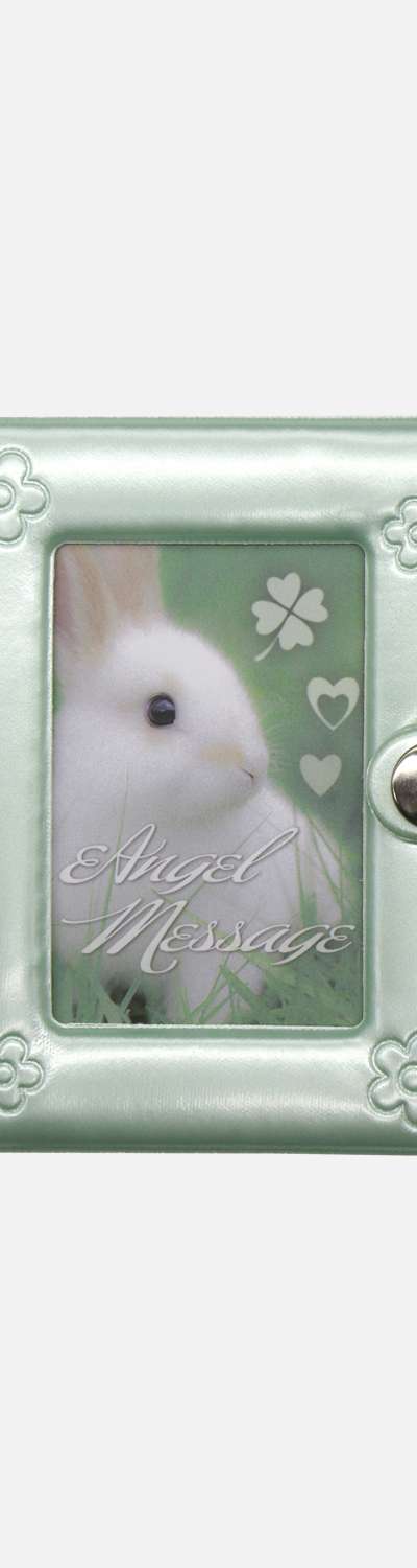 Shimmer Collect Book_グリーン