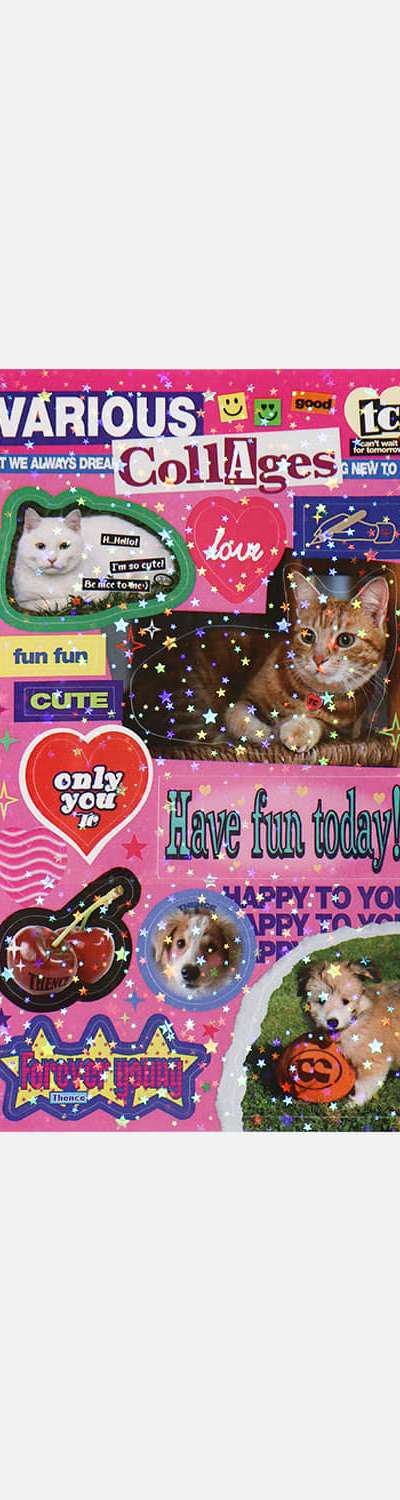 Variety Mini Sticker_Collage