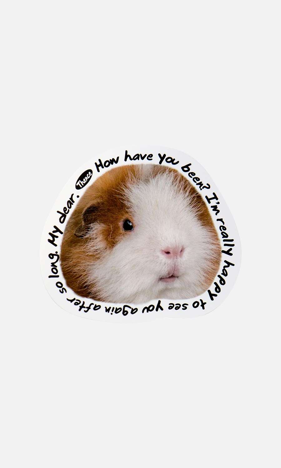 Thomson Card_Cavy