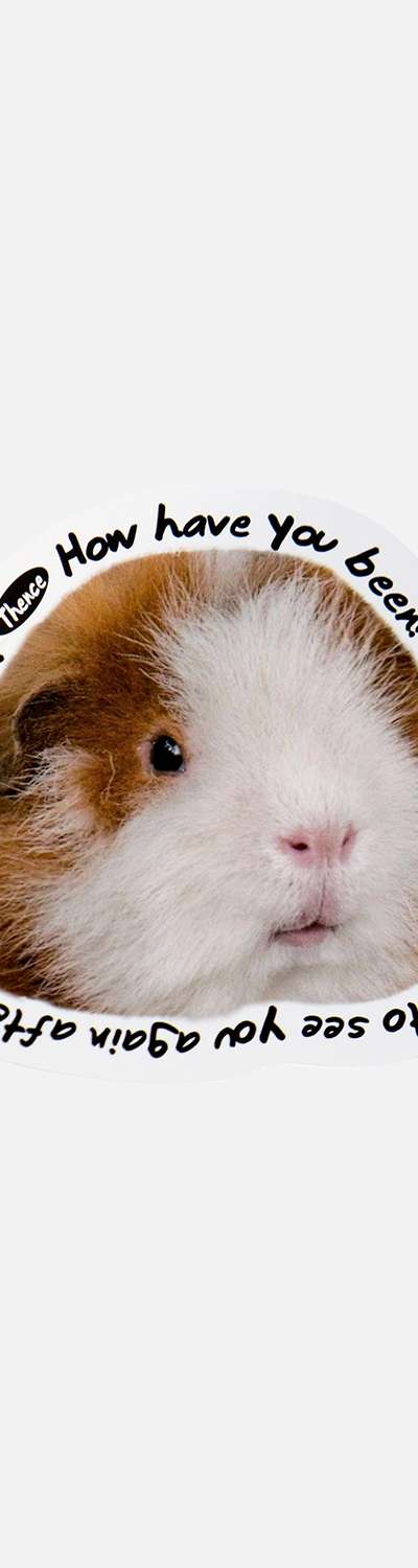 Thomson Card_Cavy