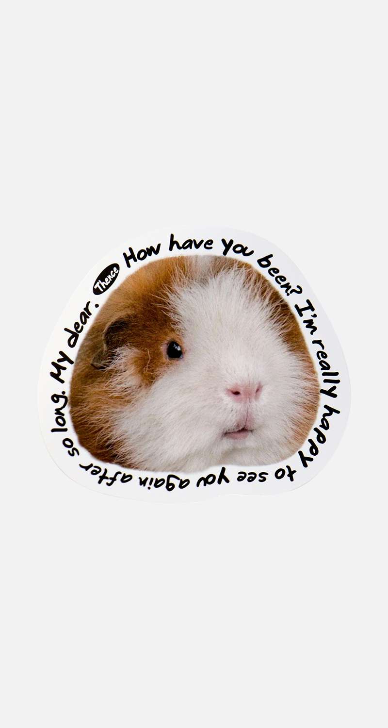 Thomson Card_Cavy