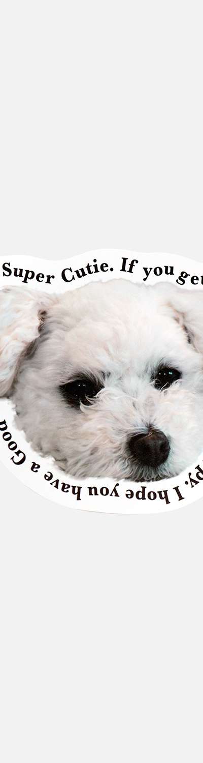 Thomson Card_White Puppy