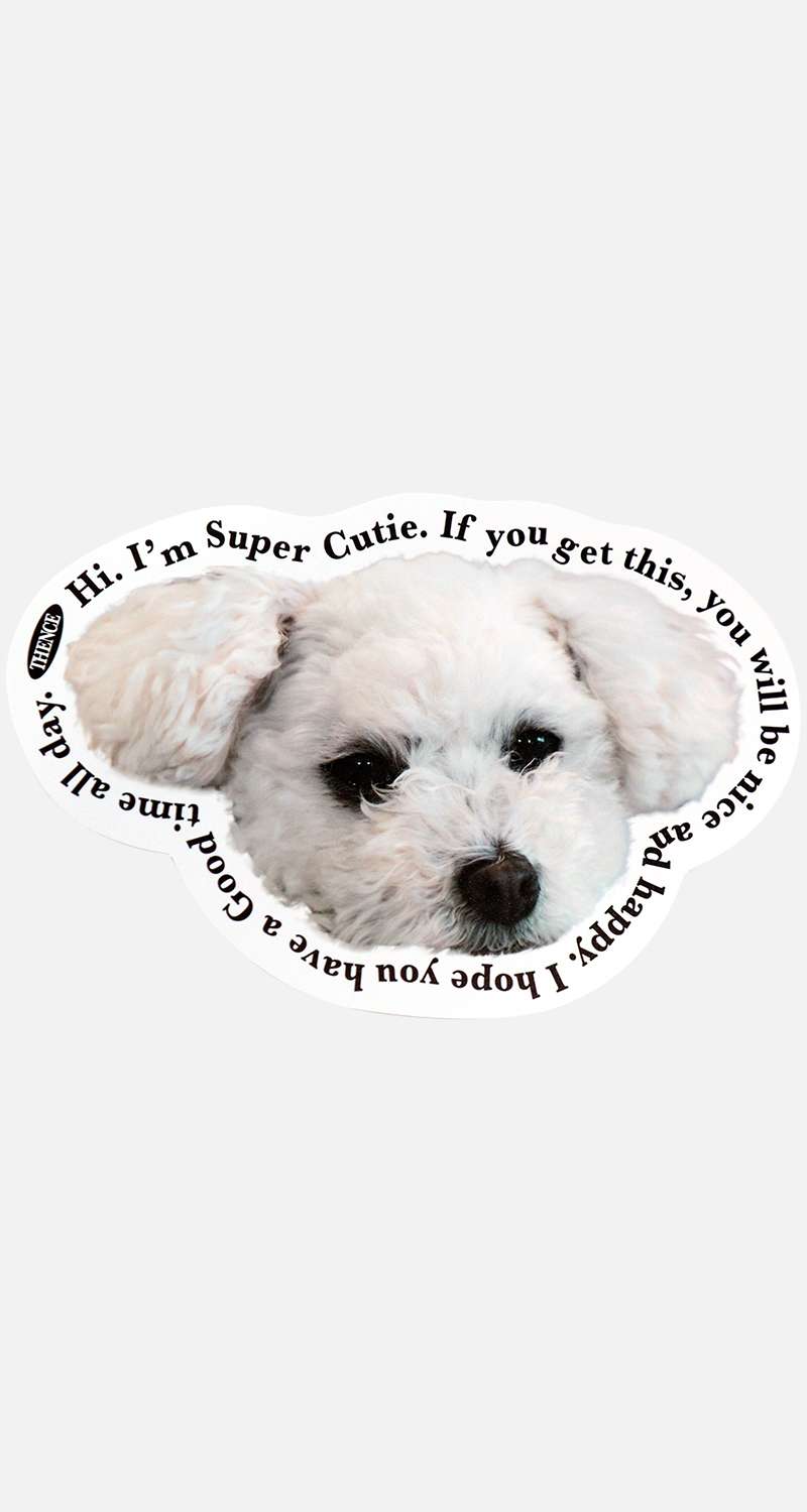Thomson Card_White Puppy