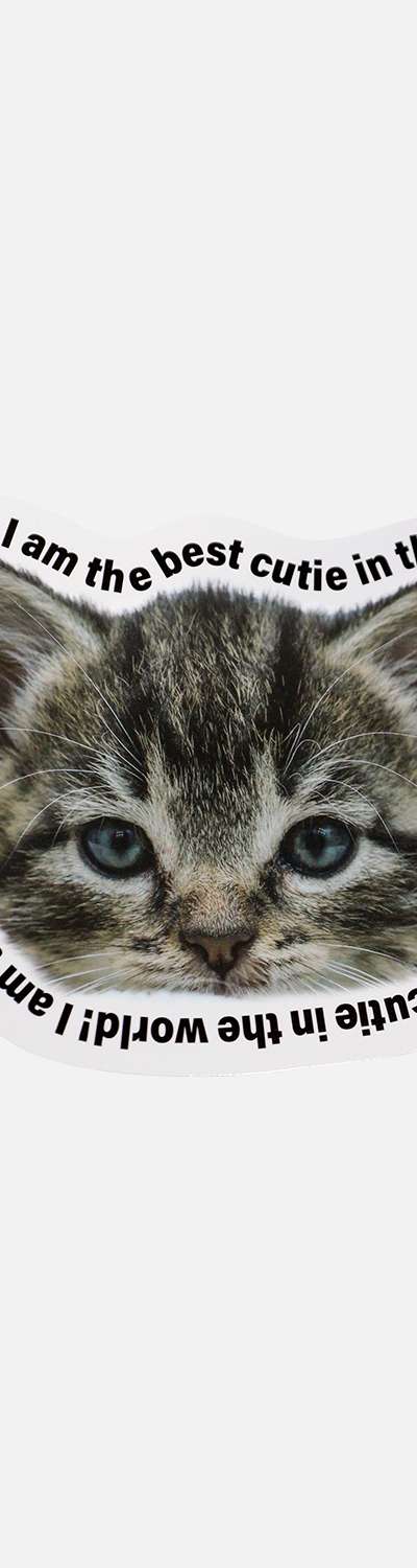 Thomson Card_Kitty