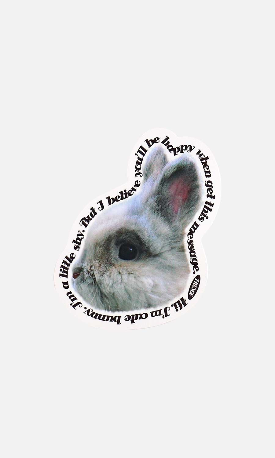 Thomson Card_Bunny