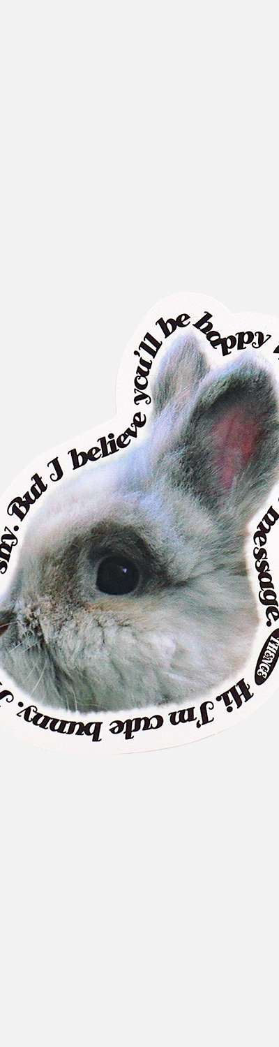 Thomson Card_Bunny