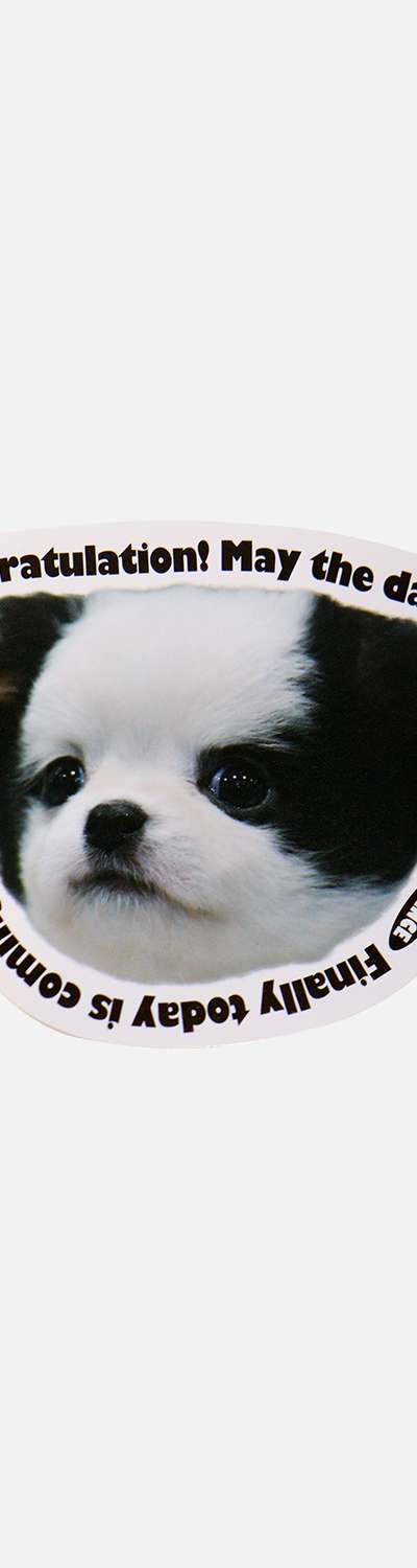 Thomson Card_B&W Puppy